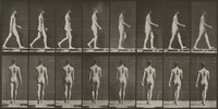 Plate Number 9. Walking, Eadweard Muybridge, 1887