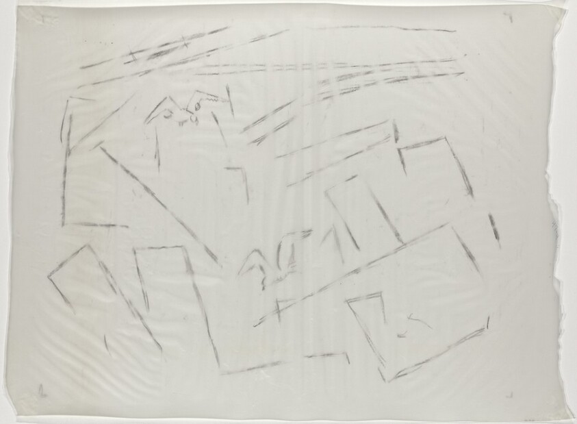 Linear Configuration with Birds