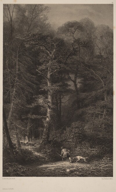 Intérieur de Forêt