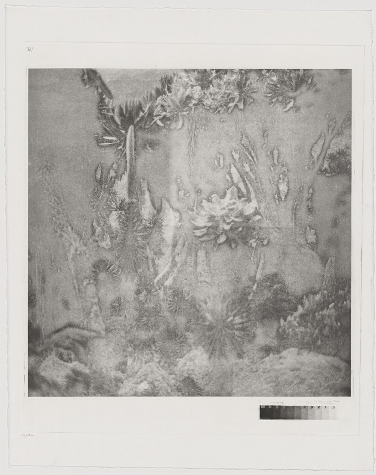 Fullmoon@Rwenzori: Mountains of the Moon [working proof 4]