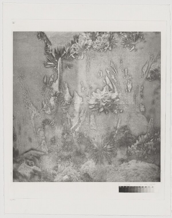 Fullmoon@Rwenzori: Mountains of the Moon [working proof 4]