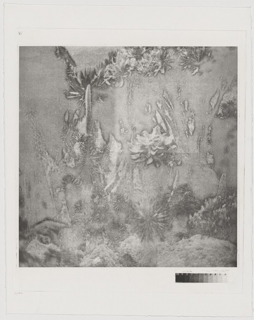 Fullmoon@Rwenzori: Mountains of the Moon [working proof 4]