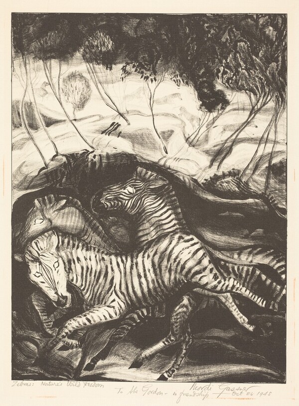 Zebras: Nature's Wild Freedom