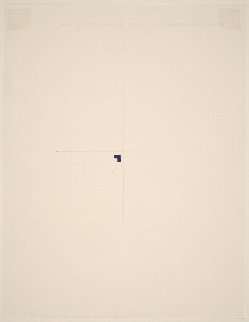 Plane Brought Back as Reflection