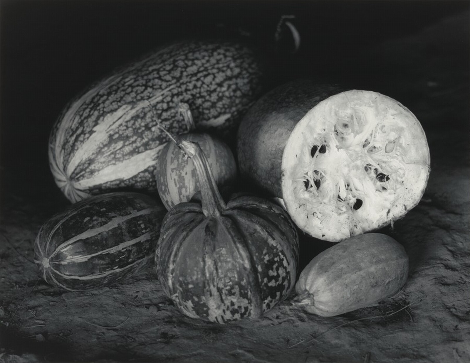 Calabazas, Guatemala, Flor Garduño, 1991