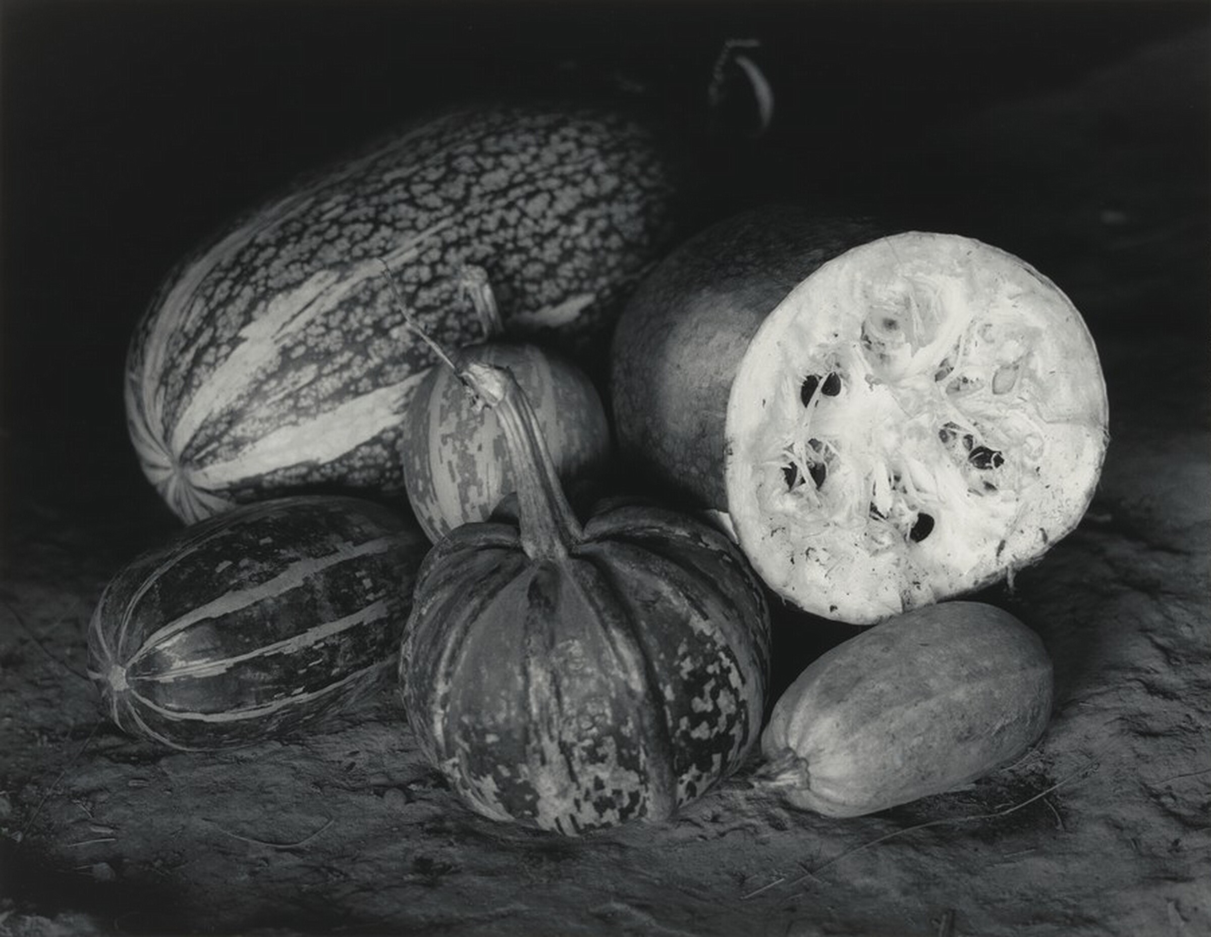 Calabazas, Guatemala, Flor Garduño, 1991