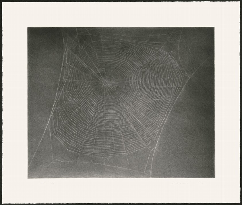 Untitled (Web 4) [special proof]