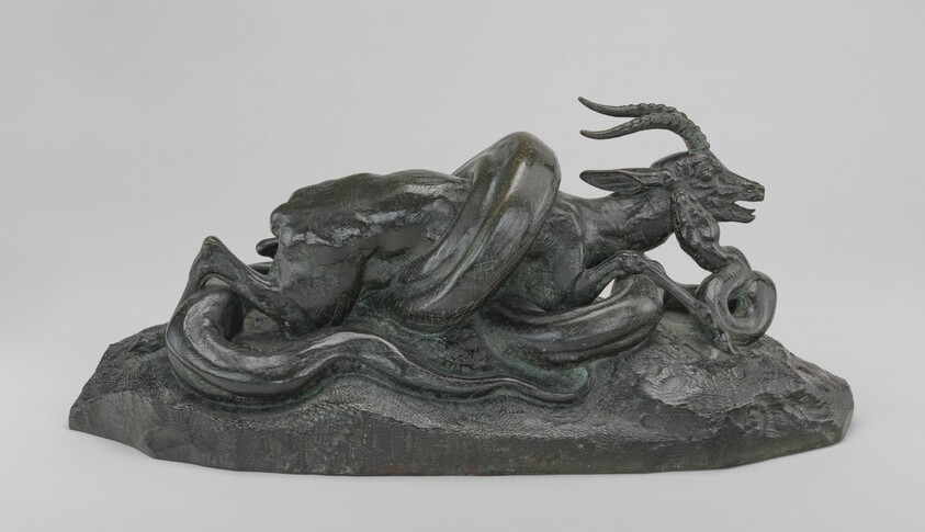 Python Crushing a Gazelle